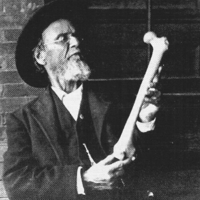 オステオパシー紹介